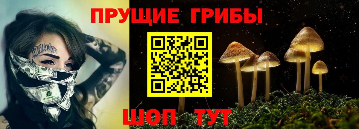 Галлюциногенные грибы Psilocybe Михайловка